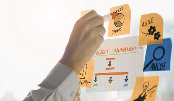 Massimo Zerbo Management PMI